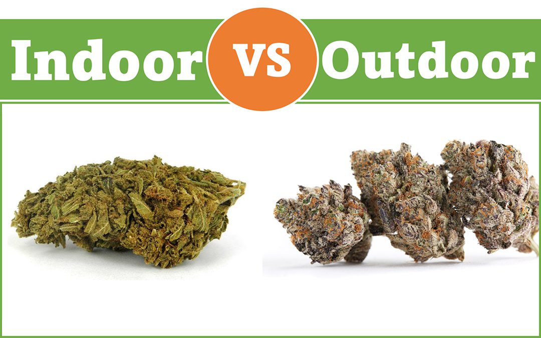 A picture of two different types of marijuana.